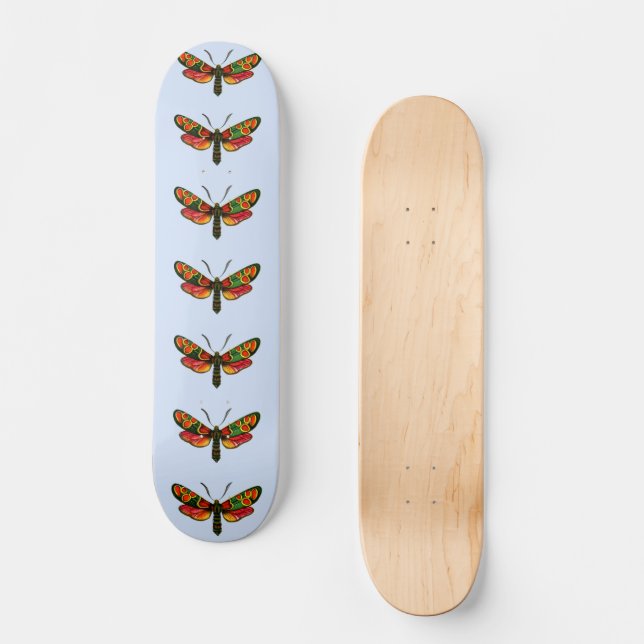 Skateboard Zygaena carniolica - La teigne de Burnet Crepuscul (Recto)