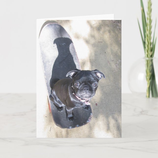 Skateboarding Mops Card (Foto) Karte (Vorderseite)