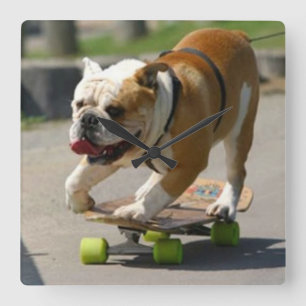 Skater Dog - Wall Clock Quadratische Wanduhr