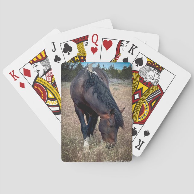 Skeeter Spielkarten (Rückseite)