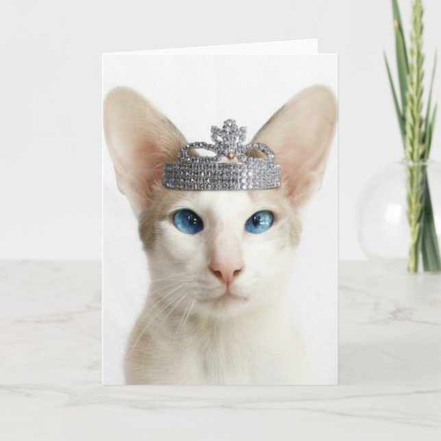 Skeezix tragende Tiara Karte (Vorderseite)