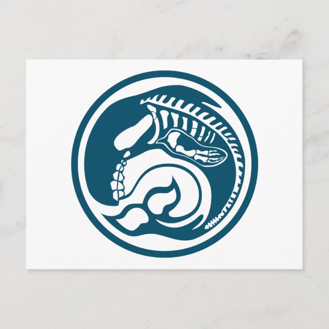 Skeleorca Postkarte (Vorderseite)