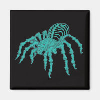 Skeletal Tarantula