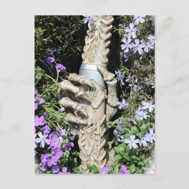 Skelethand - Gothic / Postkarte (Vorderseite)