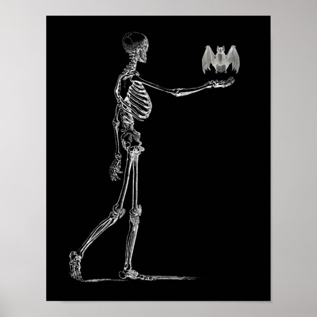 Skeleton and Bat Poster (Vorne)