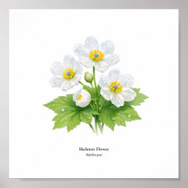 Skeleton-Blumen-Botanische Illustration – Kunstdru Poster