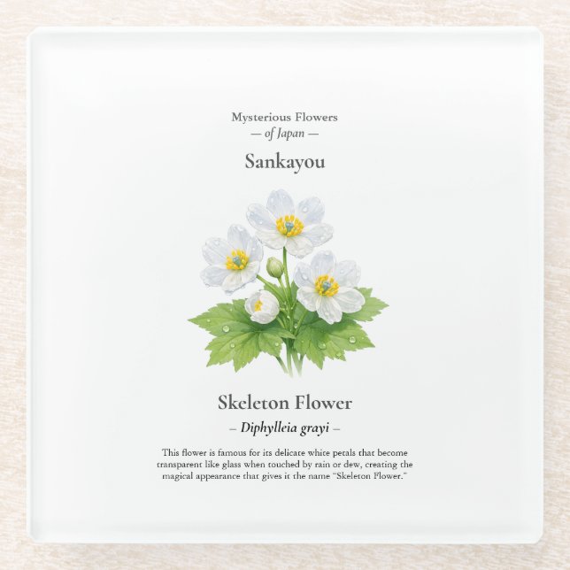 Skeleton-Blumen-Untersetzer – Diphylleia grayi Glasuntersetzer (Vorderseite)