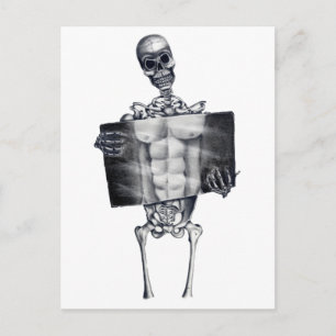 Skeleton Chest Xray White Postcard Postkarte