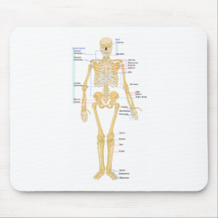 Skeleton Diagramm Mousepad