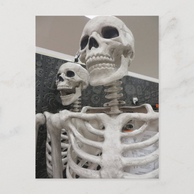 Skeleton Duo Postkarte (Vorderseite)