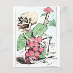 Skeleton grappe theif carte postale vintage