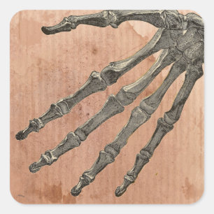 Skeleton Hand Quadratischer Aufkleber