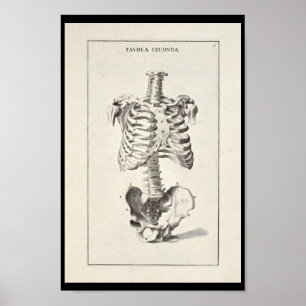 Skeleton Kunst-Druck der künstlerischen Poster