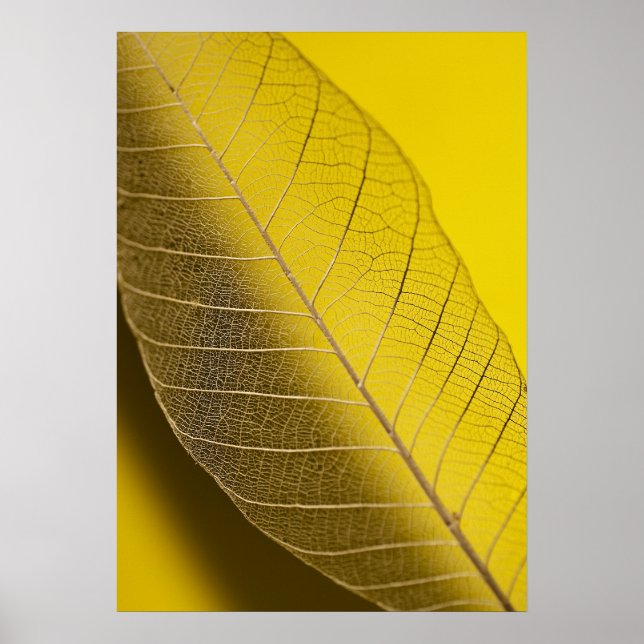 Skeleton Leaf Yellow Poster (Vorne)