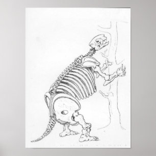 Skeleton of a Mylodon Poster