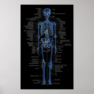 skeleton Plakat