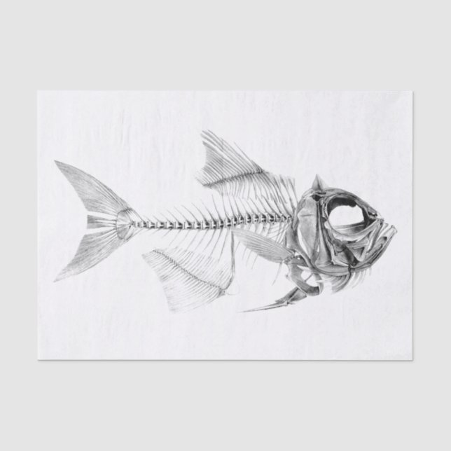 Skeleton Radierung der Vintagen Fische Seidenpapier (Vorderseite)