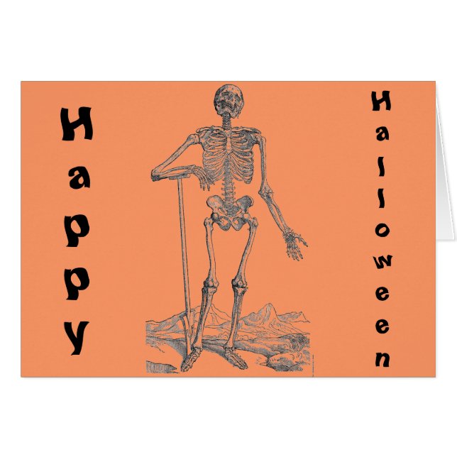 Skelett (Vorderseite (Horizontal))