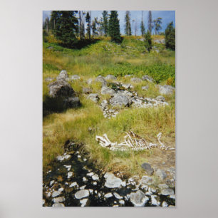 Skelett der Elche Poster