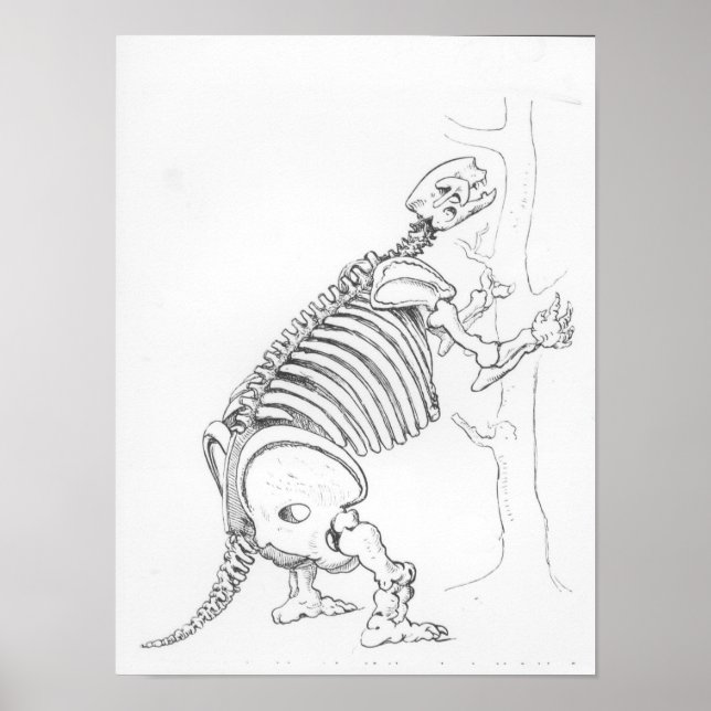 Skelett eines Mylodon Poster (Vorne)