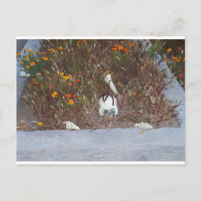 Skelett in Marigolds Postkarte (Vorderseite)
