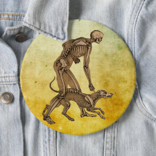 Skelett Mensch und Hund Anatomie an menschlichen T Button