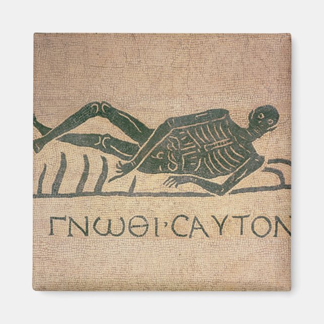 Skelett mit dem Titel 'Know Magnet (Vorne)