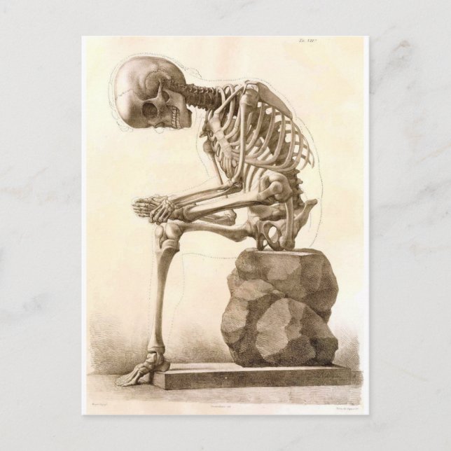 Skelett Postkarte (Vorderseite)