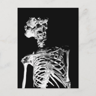 Skelett Postkarte