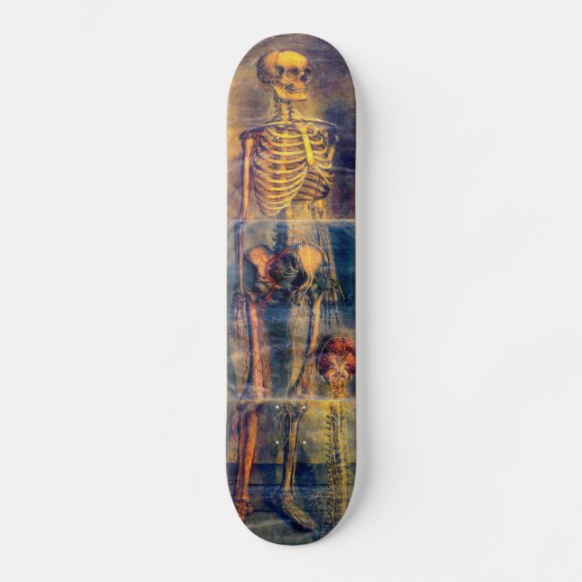 Skelett-Skateboard Skateboard (Vorderseite)