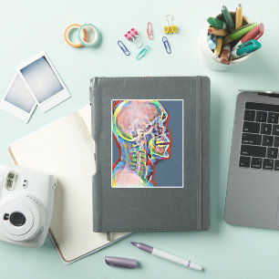 Skelett Skull Abstrakt Anatomie Original Kunst Aufkleber