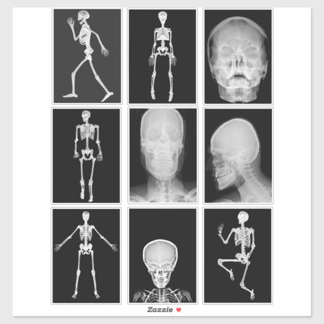 Skelett Skull Human Body XRAYS Collage Sheet Art Aufkleber (Blatt)