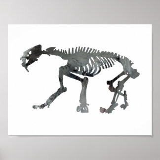 Skelett Smilodon Poster