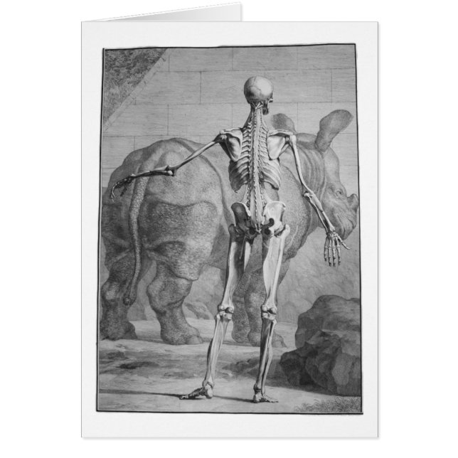 Skelett u. Nashorn (Vorne)