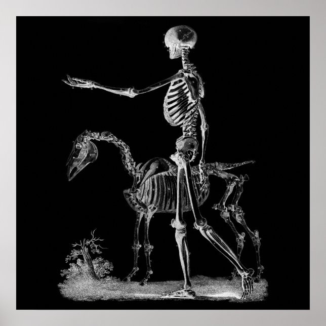 Skelett- und PferdeHalloween-Dekorposter BW3 Poster (Vorne)