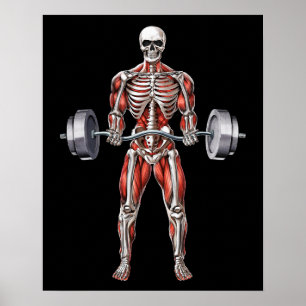 Skelettarbeit zur Fitness Poster