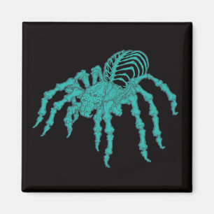 Skelettartiger Tarantula Magnet