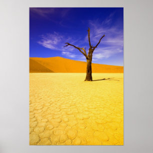 Skelettbäume in Dead Vlei Sossusvlei, Poster