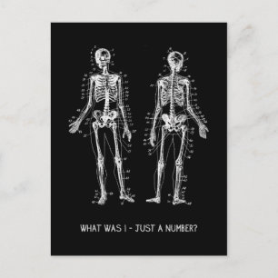 Skelettfragen zu Halloween Postkarte