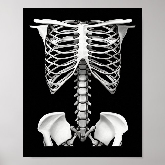 Skelettkäfig Halloween Kostümgeschenke für Männer Poster (Vorne)