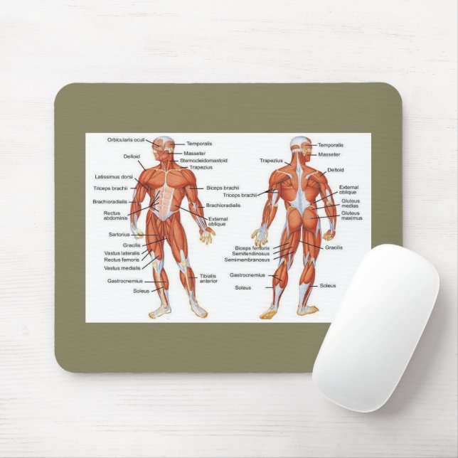 Skelettmuskeldiagramme - Medikamente101 Mousepad (Mit Mouse)