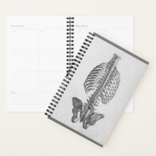 Skelettplaner Planer