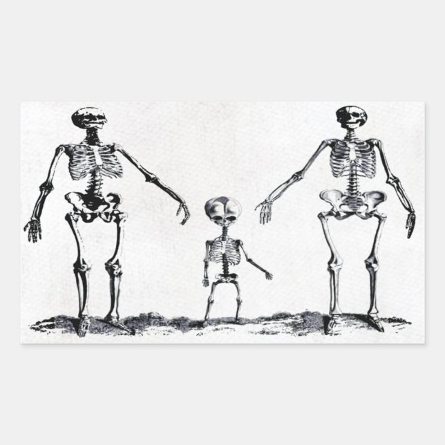 Skelettsticker Rechteckiger Aufkleber (Vorderseite)