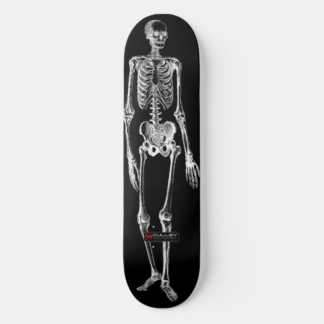 Skelo 001 skateboard (Vorderseite)