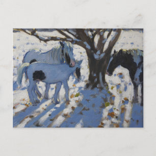 Skewbald Ponies im Winter 2012 Postkarte