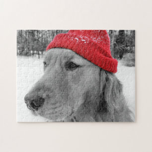 Ski-Hundegolden retriever