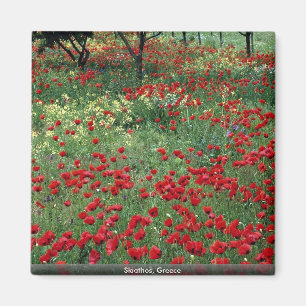 Skiathos, Griechenland Magnet