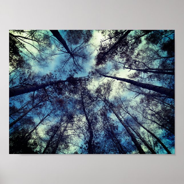 Skies Poetic Moment Value Poster Paper (Matte) (Vorne)