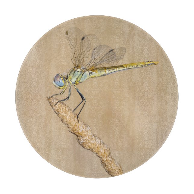 Skimmer Dragonfly Insect Female (CC BY 4,0) Cuttin Schneidebrett (Vorderseite)