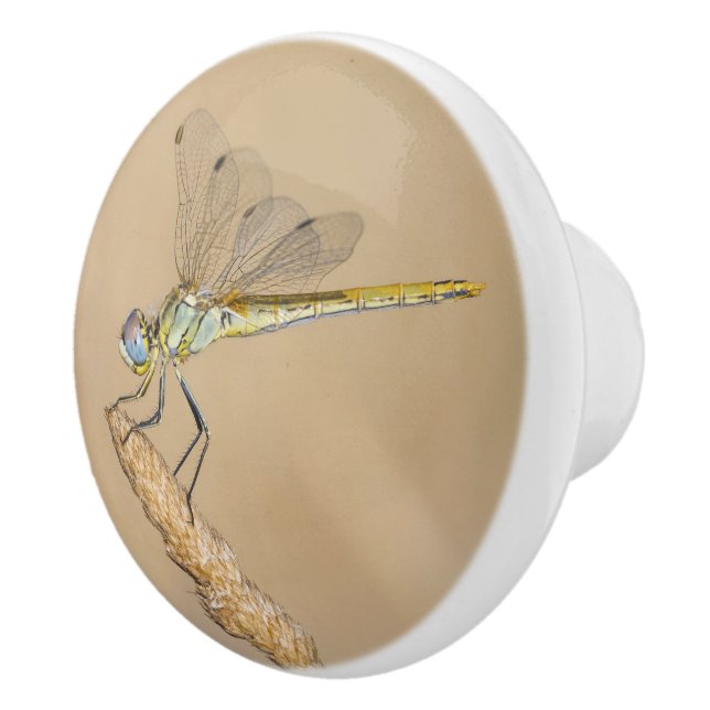 Skimmer Dragonfly Insekt Female (CC BY 4,0) Keramikknauf (Rechts)